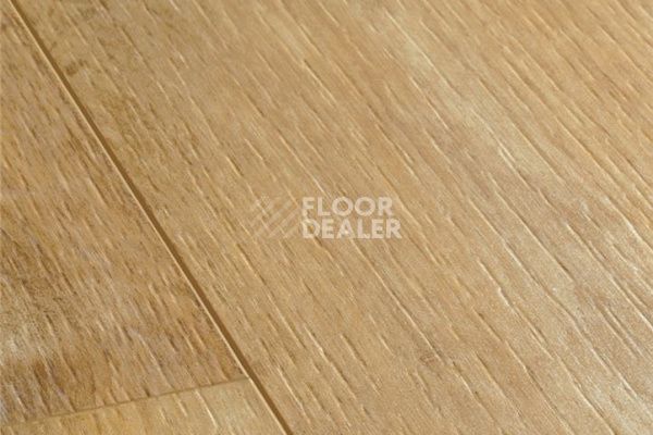 Плитка ПВХ Quick Step Livyn Balance Click Plus BACP BACP40039   Дуб каньон натуральный фото 1 | FLOORDEALER